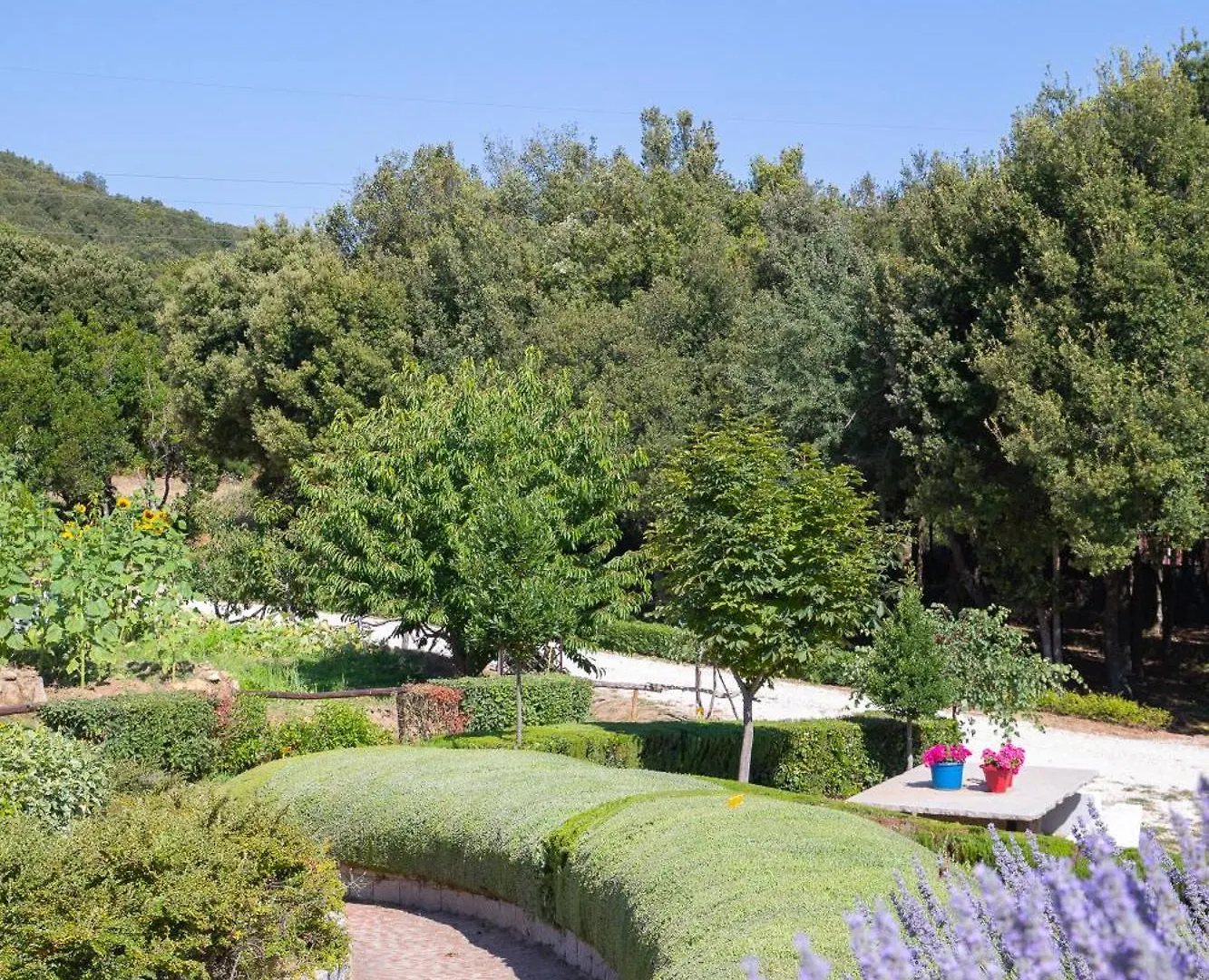 Eco Hotel Orlando Sardegna Villagrande Strisaili 4*,  イタリア