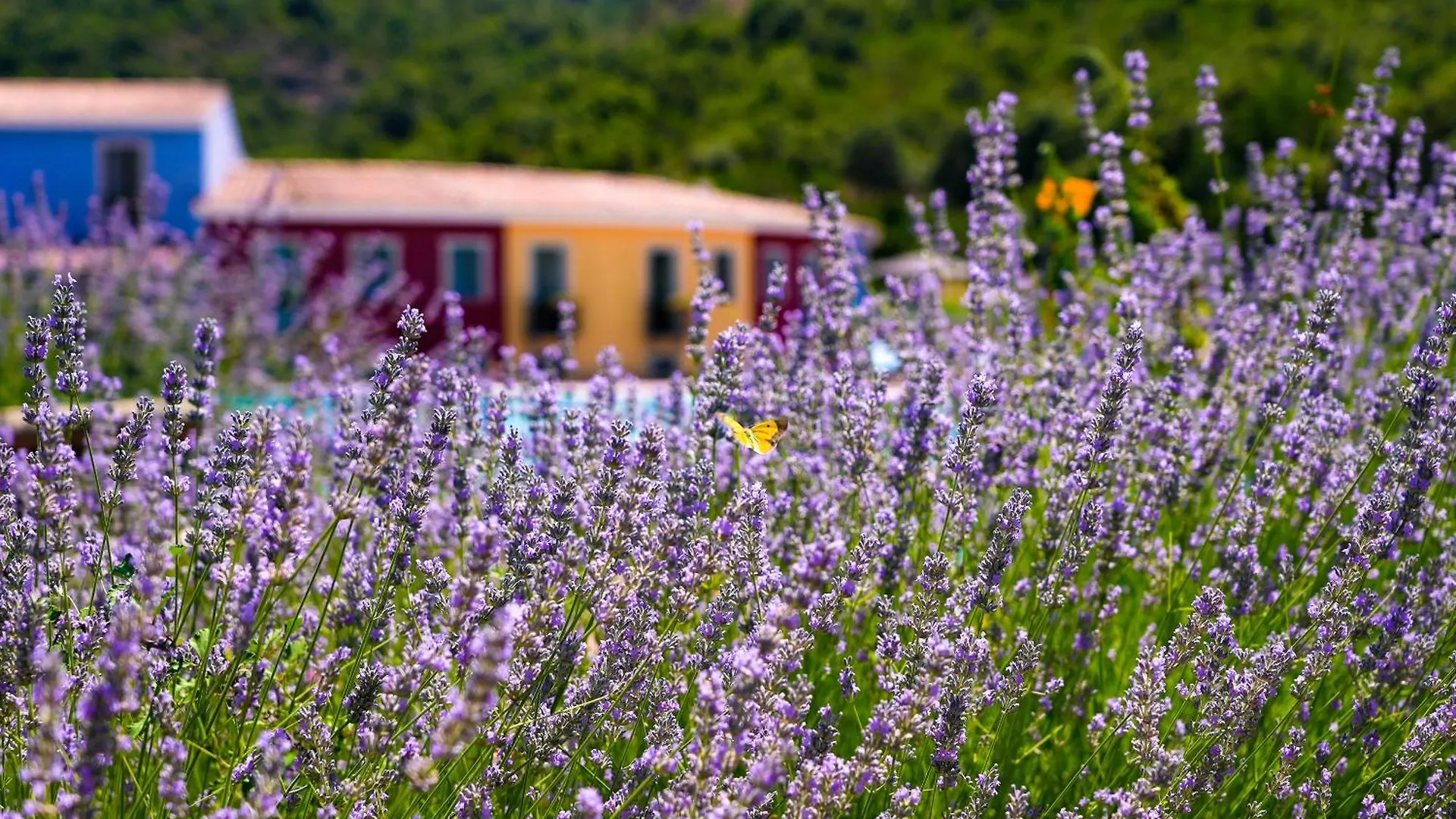 Eco Hotel Orlando Sardegna Villagrande Strisaili