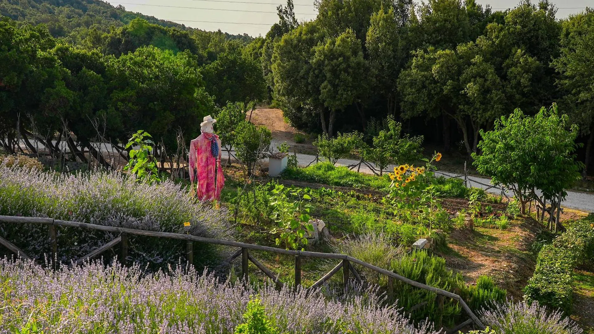 Eco Hotel Orlando Sardegna Villagrande Strisaili